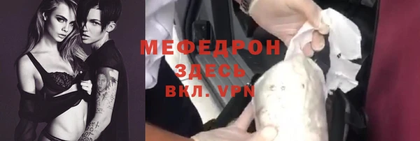шишки Надым