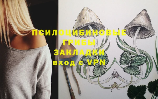 кристаллы Новозыбков
